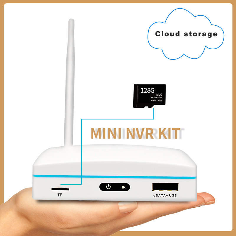 2CH 3MP 1296P ワイヤレス WIFI IP カメ - Home Security Land のレビューと価格