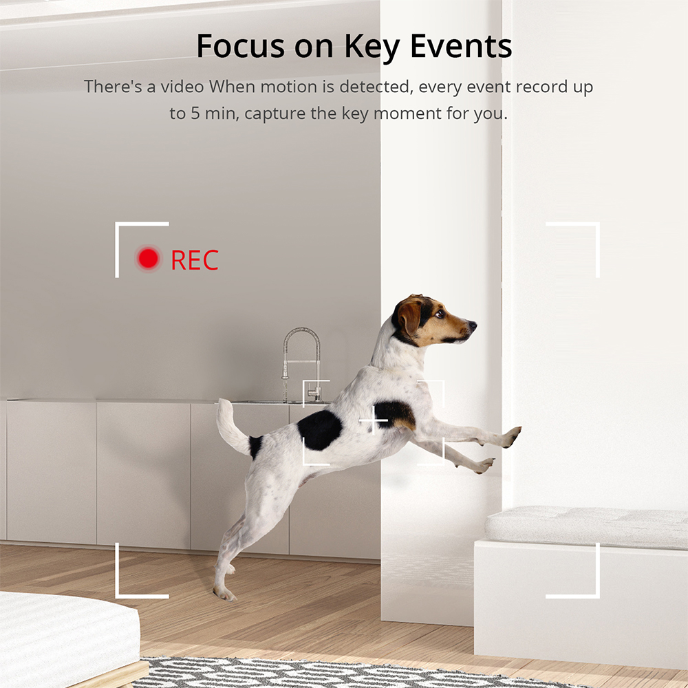 Sonoff-スマートホームセキュリティカメラ,モーション検 - Home Security Google Camera のレビューと価格