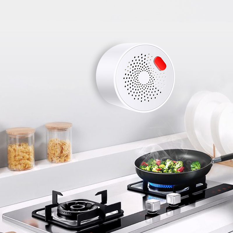 Tuya-インテリジェント家庭用ガスセンサー,不燃性,ガス漏 - Home Security Business のレビューと価格
